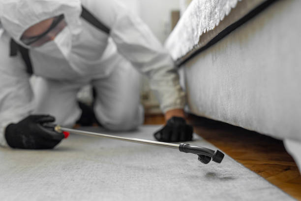 Professional Rodent Control technician working in Rockport, TX