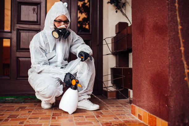 Reliable Rodent Control contractor in Rockport, TX by Nex Pest Control