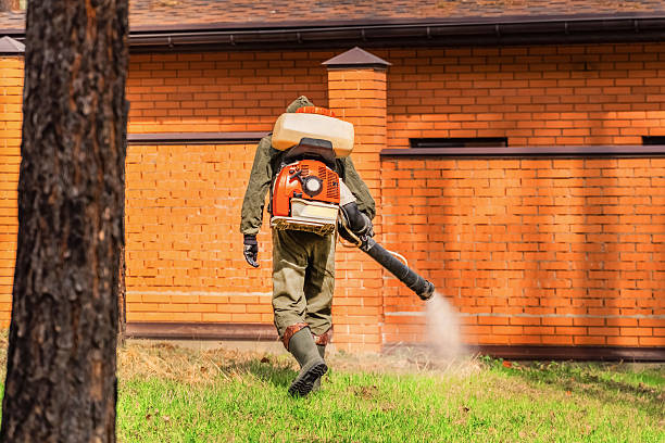 Trusted Rodent Control service in Rockport, TX - Nex Pest Control